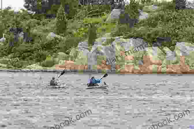 A Group Of Kayakers Paddling Along The Rocky Shoreline Of Burnt Island, Surrounded By Curious Seals And Seabirds Burnt Island D Nurkse