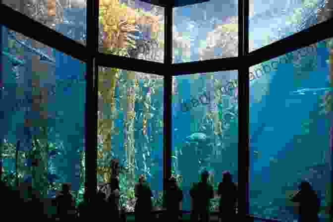 A Photograph Of The Monterey Bay Aquarium. Haikus And Photos: California Coast