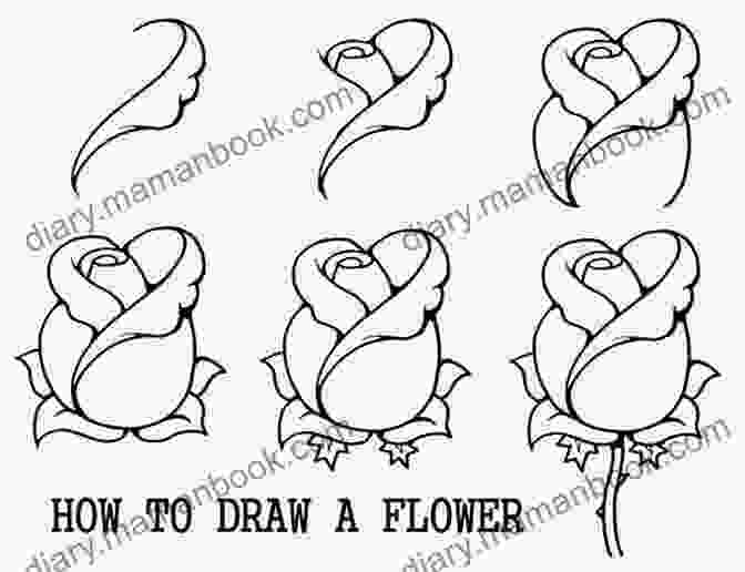 A Simple Drawing Of A Flower Anyone Can Draw Cats: Easy Step By Step Drawing Tutorial For Kids Teens And Beginners How To Learn To Draw Cats 1 (Aspiring Artist S Guide 1 2)