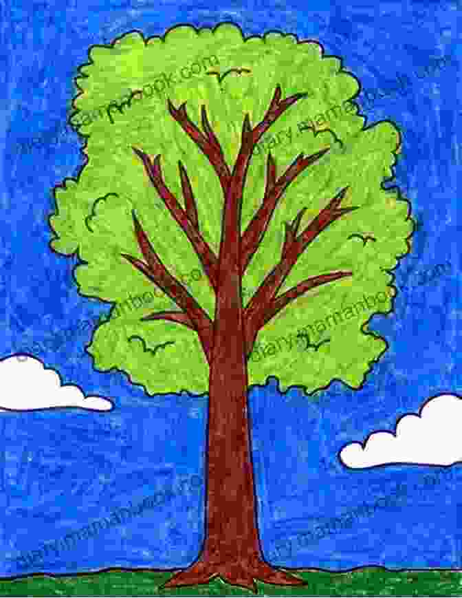 A Simple Drawing Of A Tree Anyone Can Draw Cats: Easy Step By Step Drawing Tutorial For Kids Teens And Beginners How To Learn To Draw Cats 1 (Aspiring Artist S Guide 1 2)