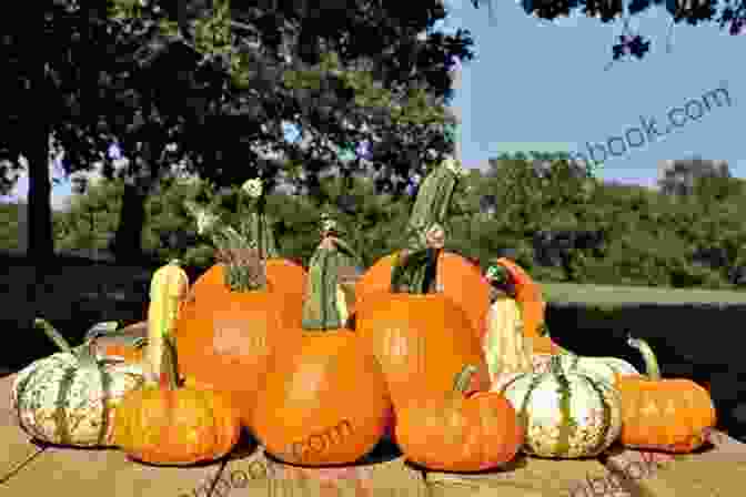 Autumn Harvest Of Pumpkins And Gourds Shakespeare In Autumn (Seasons Edition Fall): Select Plays And The Complete Sonnets