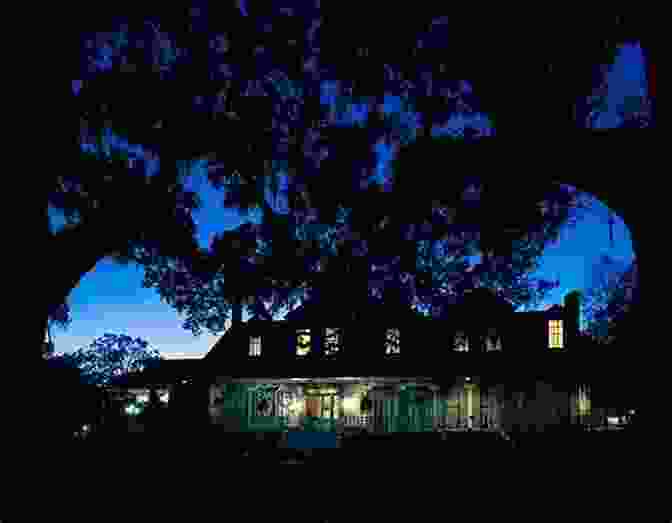 Bone Willows Plantation, A Grand Mansion With A Sinister Past Bone Willows James Engelhardt