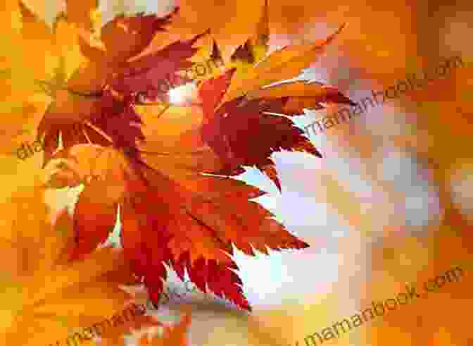 Close Up Of Autumn Leaves Shakespeare In Autumn (Seasons Edition Fall): Select Plays And The Complete Sonnets