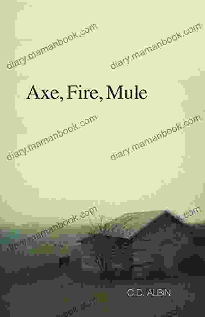 Close Up Of Axe Fire Mule Albin's Striking Golden Coat And Blue Eyes Axe Fire Mule C D Albin