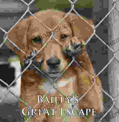 Bailey S Great Escape (A Cute Dog Story)