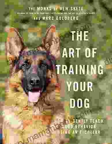 The Art Of Training Your Dog: How To Gently Teach Good Behavior Using An E Collar